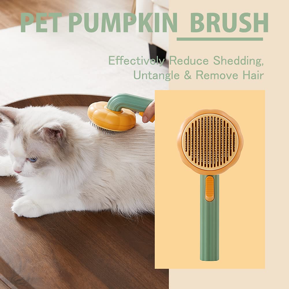 Pet Clean (Cód.912819221)