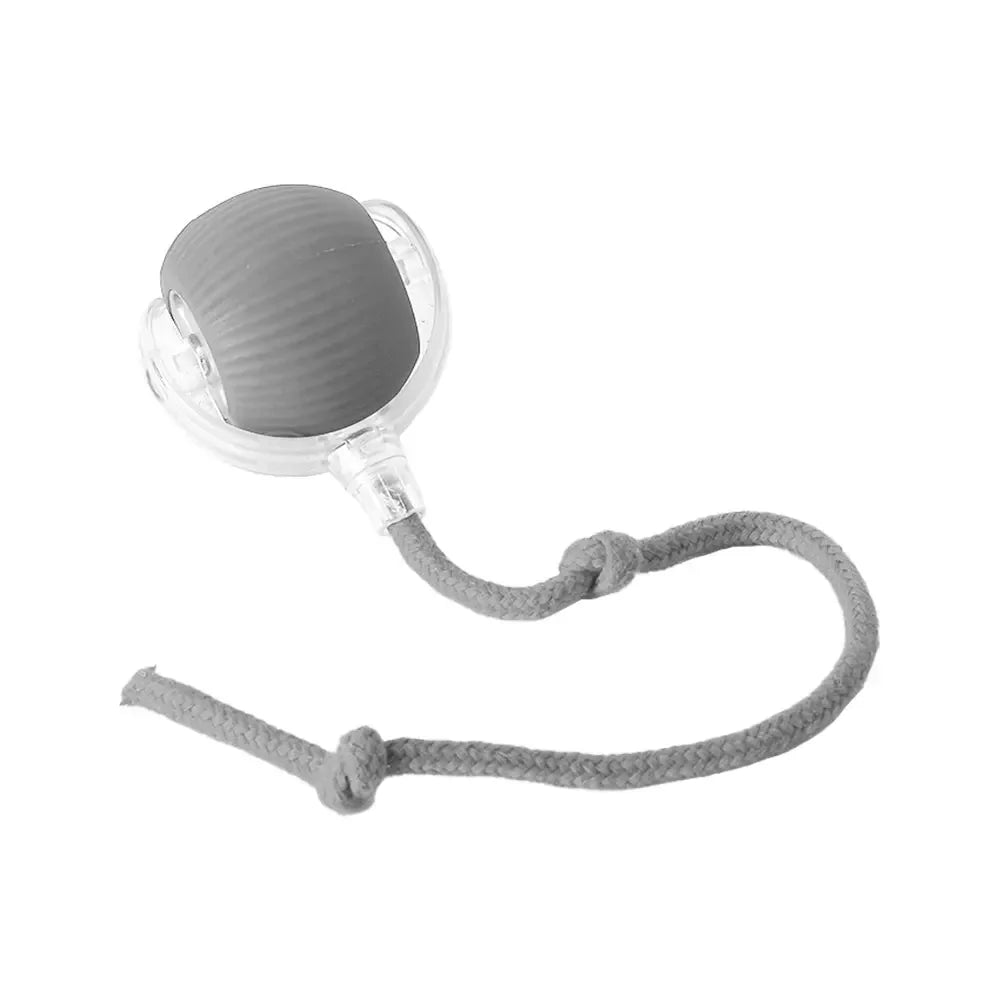 Bola Interativa Pet