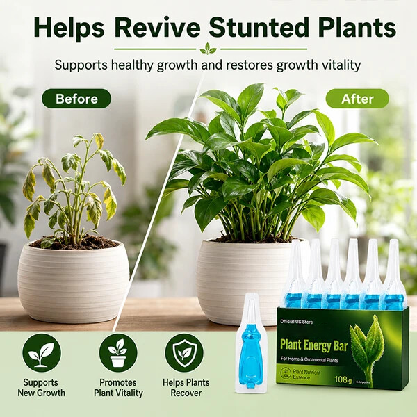 Official US Store curveveramax.com® Plant Energy Bar