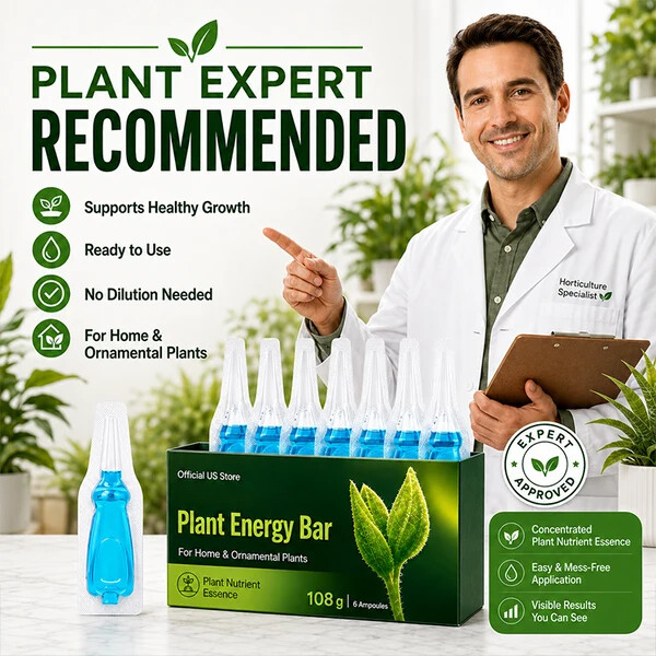 Official US Store curveveramax.com® Plant Energy Bar