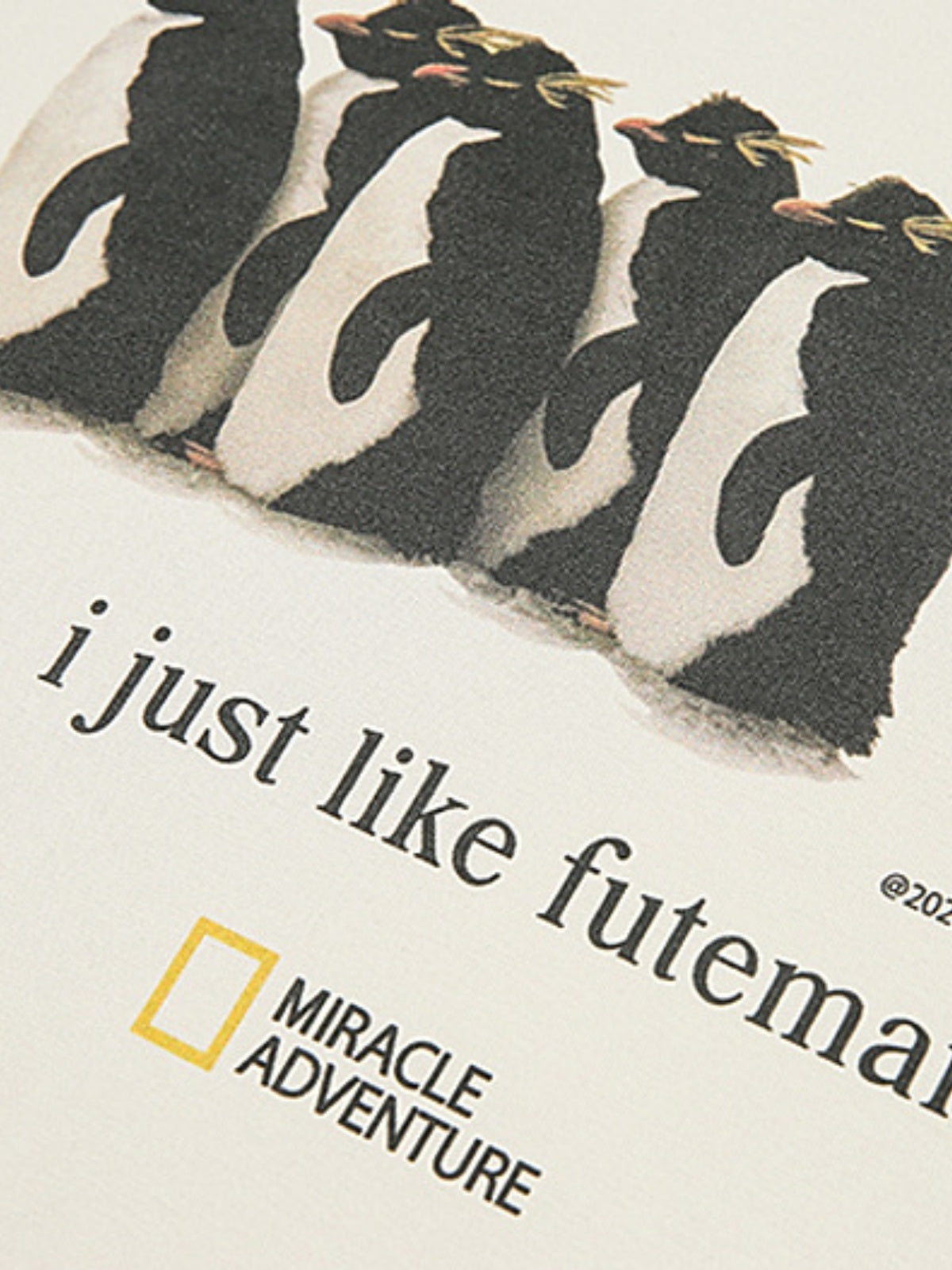 Haaura I Just Like Futemai Penguin Graphic Tee