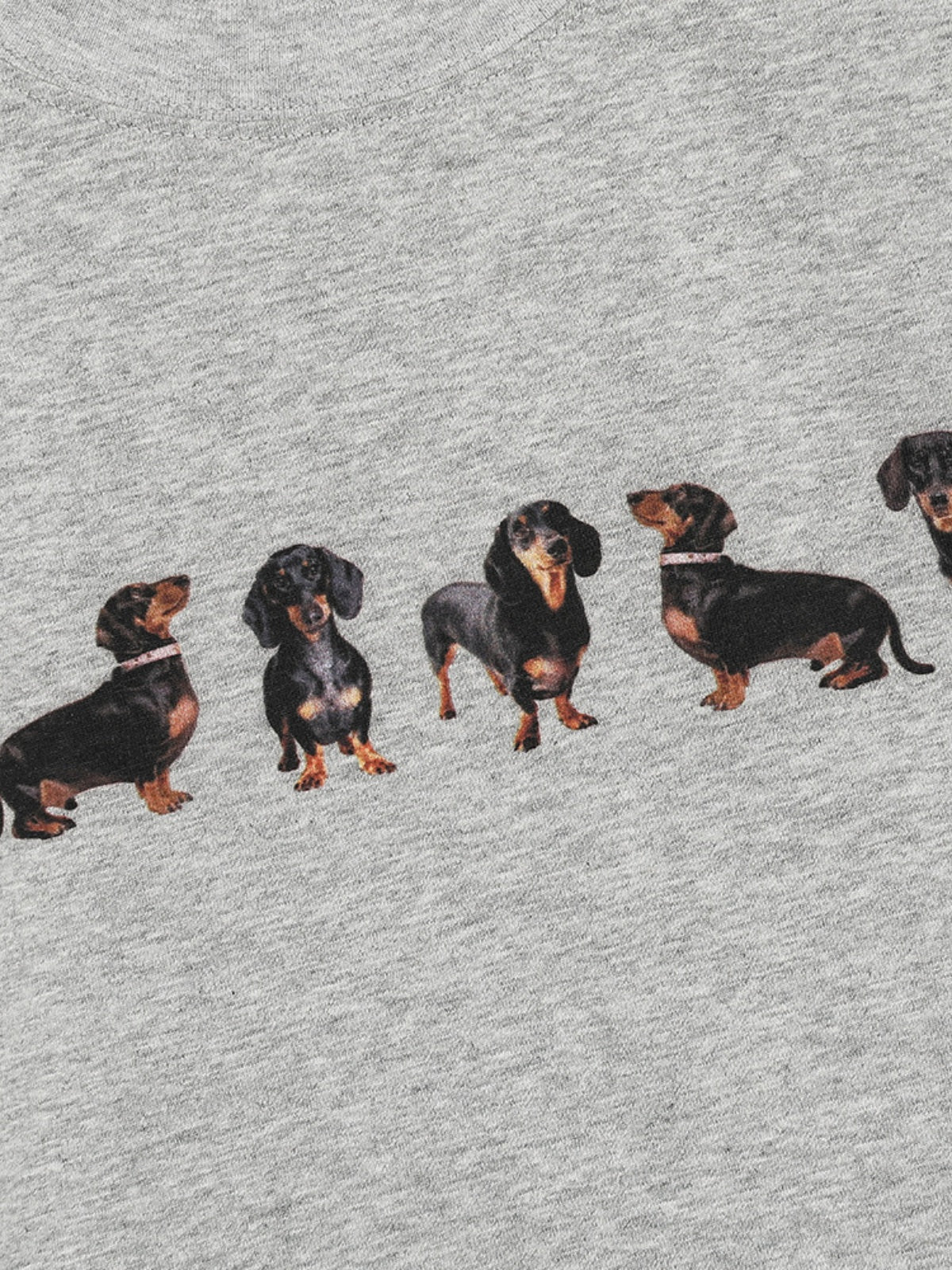 Haaura Dachshund Tee