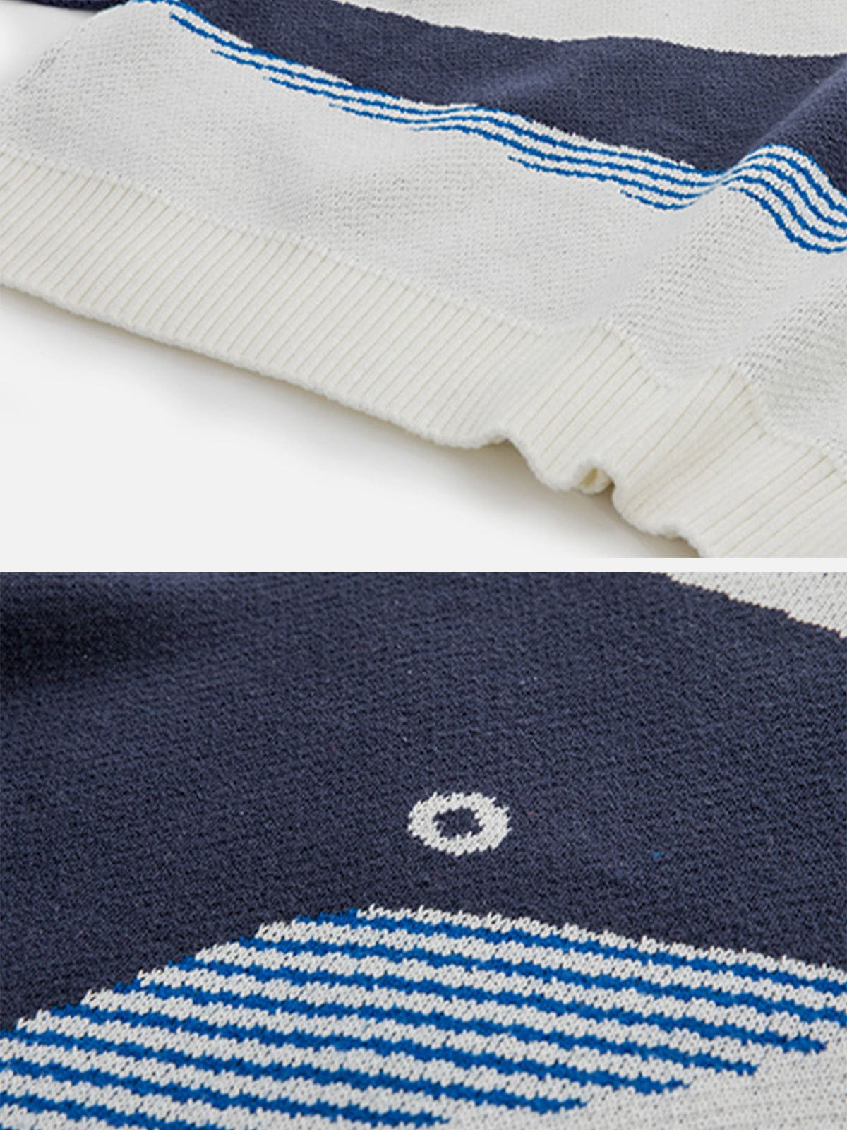Haaura "The Loneliest Whale" Knit Sweater