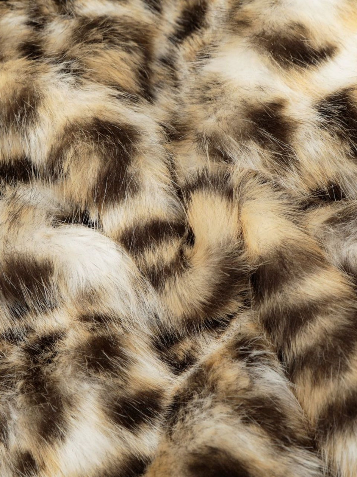 Haaura Leopard Trim Stand Collar Zip-Up Vest